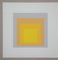 Josef Albers, Homage to the Square, 1973, Original Siebdruck, 2er Set 3