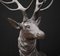Lifesize Scottish Highlands Bronze Elk, Set of 2 14