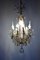 French Pampilles Chandelier in Glass 2