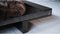 Dormeuse nera in acciaio di Arno Declercq, Immagine 15