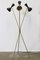 Mid-Century Italian Minimalist Black Brass Floor Lamp in the Style of Stilnovo, 1950s, Image 5