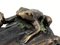 Patinated Iron Okimono Frog, 1800s 6