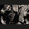 The Leopard Teppich von Roberta Diazzi 3