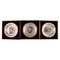 Annual Animal Plates in Sterling Silver by Bernard Buffet, 1975-77, Set of 3 1