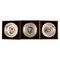 Annual Animal Plates in Sterling Silver by Bernard Buffet, 1975-77, Set of 3, Image 1