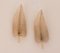 Feather Sconces from Seguso, Set of 2 6