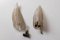 Feather Sconces from Seguso, Set of 2 10