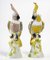 19th Century Meissen Porcelain Parrot Figurines, Set of 2 3