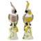 19th Century Meissen Porcelain Parrot Figurines, Set of 2 1