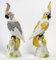 19th Century Meissen Porcelain Parrot Figurines, Set of 2 5