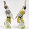 19th Century Meissen Porcelain Parrot Figurines, Set of 2 2