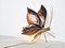 Vintage Brass Butterfly Wall Lamp by Herni Fernandez, 1970s 3