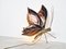 Vintage Schmetterling Wandlampe aus Messing von Herni Fernandez, 1970er 3