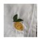 Lemons Towels from Popolo, Set of 4 3