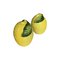 Salt & Pepper Lemons by Popolo, Set of 2, Image 1