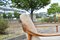 Mid-Century Walnut Easy Chair from Knoll Antimott, Image 11