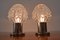 Mid-Century Table or Wall Lamps, Kamenicky Senov, 1960s, Set of 2, Image 6