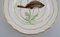 Porcelain Dinner Plate with Hand-Painted Fish Motif from Royal Copenhagen 3