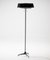 Evolux Floor Lamp from Hiemstra 3