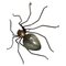 Italian Mid-Century Modern Metal and Glass Spider-Shaped Wall Lamp, 1960s, Image 1