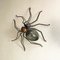 Italian Mid-Century Modern Metal and Glass Spider-Shaped Wall Lamp, 1960s 6