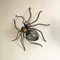 Italian Mid-Century Modern Metal and Glass Spider-Shaped Wall Lamp, 1960s, Image 6