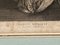 Adams, Roman Charity, siglo XIX, grabados, enmarcado. Juego de 2, Imagen 8