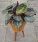 Support pour Plantes Mid-Century en Bambou 3