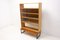 Vintage Bookcase, Czechoslovakia, 1970s 16