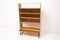 Vintage Bookcase, Czechoslovakia, 1970s 15