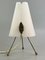Tripod Acrylic Table Lamp, 1960s, Image 11