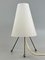 Lampe de Bureau Tripode en Acrylique, 1960s 1