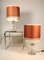 Glass Base Floor Lamp with Chromium by Richard Essig, 1970s, Set of 2 2