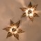 Brass Flowers Wall Lights from Willy Daro, 1970s 3