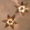 Brass Flowers Wall Lights from Willy Daro, 1970s, Image 3