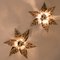 Brass Flowers Wall Lights from Willy Daro, 1970s 12