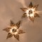 Brass Flowers Wall Lights from Willy Daro, 1970s, Image 12