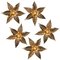 Brass Flowers Wall Lights from Willy Daro, 1970s 2