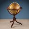 Vintage Terrestrial Globe 1
