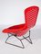 Vintage Ergonomic Bird Lounge Chair by Harry Bertoia for Knoll 5