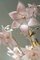 Lampadario vintage in vetro di Murano rosa, Immagine 9