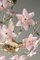 Vintage Murano Pink Fiori Chandelier, Image 4