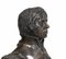 Büste von Lord Horation Nelson in Bronze 10