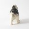 Staffordshire Pekingese Dog Figurine 6