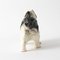 Staffordshire Pekingese Dog Figurine, Image 6