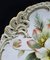 Hand-Painted Porcelain Plates from Nymphenburg, Set of 6 5