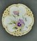 Hand-Painted Porcelain Plates from Nymphenburg, Set of 6 6
