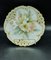Hand-Painted Porcelain Plates from Nymphenburg, Set of 6 11