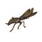 Japanese Insects in Copper, Brass and Wood, Set of 9, Image 11