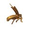 Japanese Insects in Copper, Brass and Wood, Set of 9 17